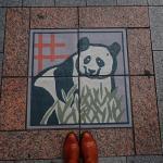 Le panda de Ueno