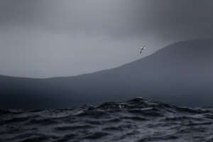 Portfolio Irlande
