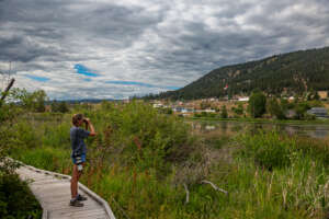 Birdwatching  à Williams Lake