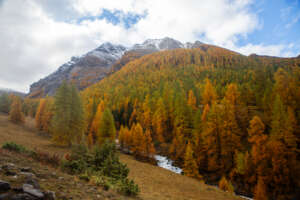 Une randonnée à Fouillouse au cœur de l’automne