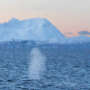 Arctique