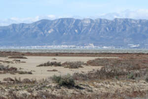 Delta de l'Ebre