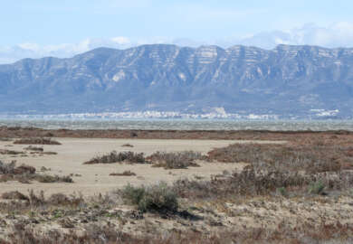 Delta de l'Ebre