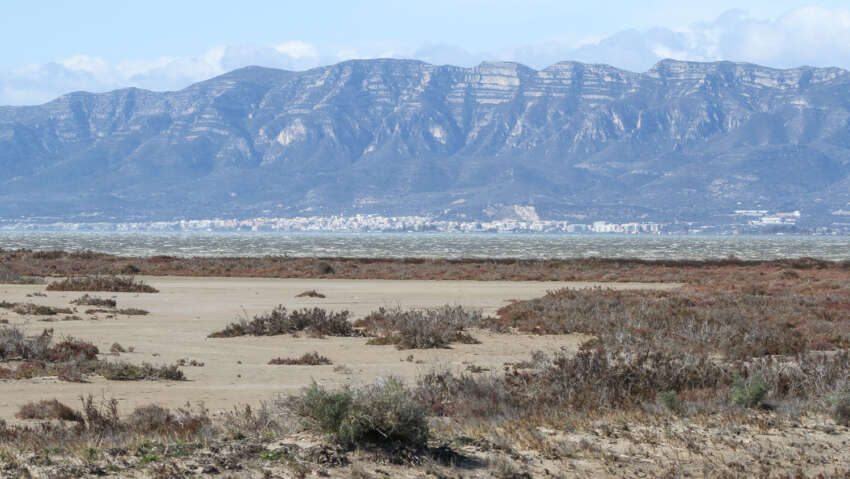 Delta de l'Ebre