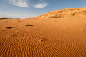 Portfolio Jordanie