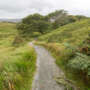 Découverte du Donegal