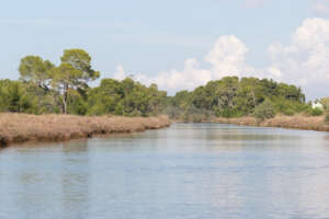 À la découverte de la lagune de Karavasta
