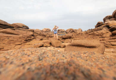 Mon top 10 en Bretagne pour les amoureux de nature