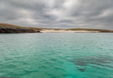 Une journée au cœur de la mer d'Iroise
