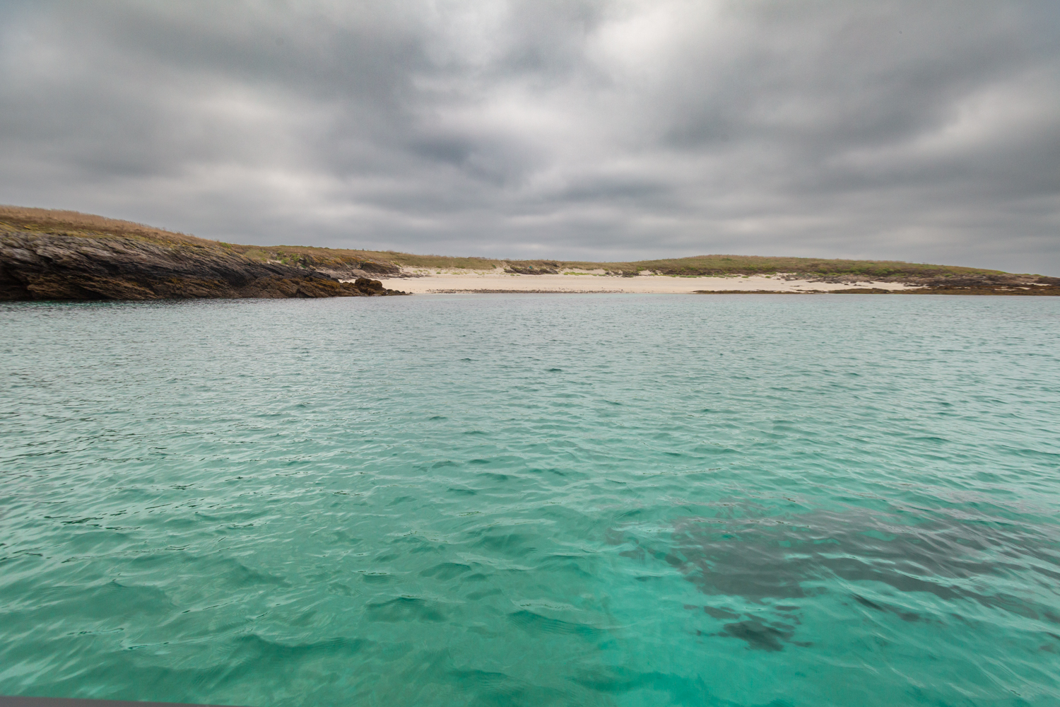 Une journée au cœur de la mer d'Iroise