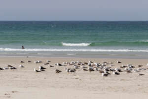 Escapade nature le long de la baie d&rsquo;Audierne