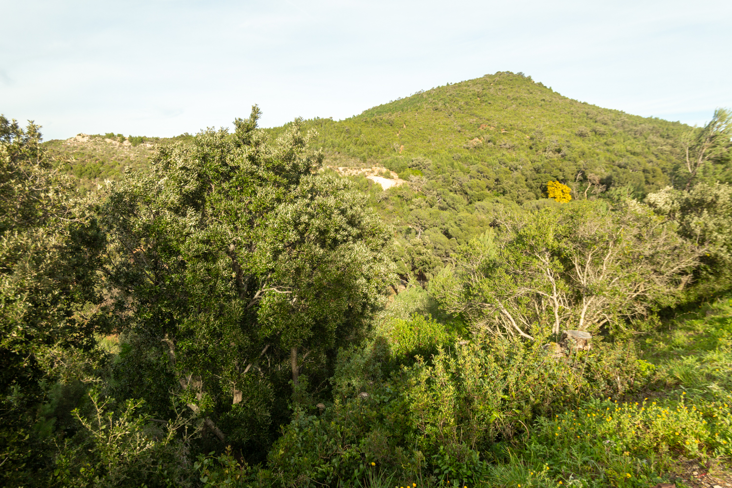Massif de la Colle noire