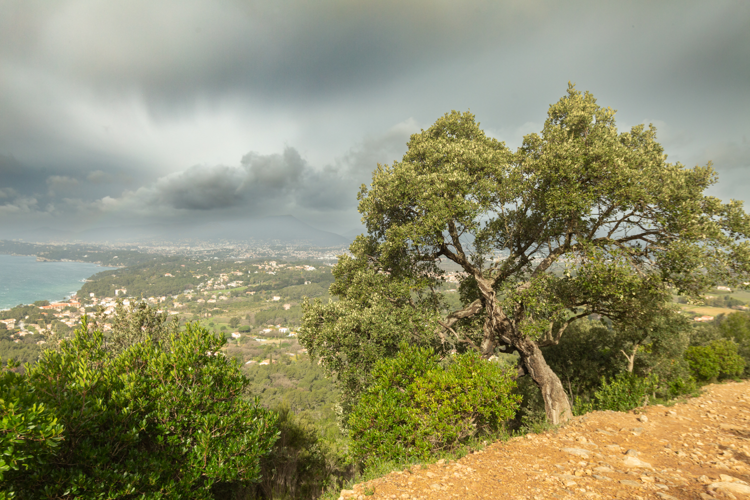Massif de la colle noire