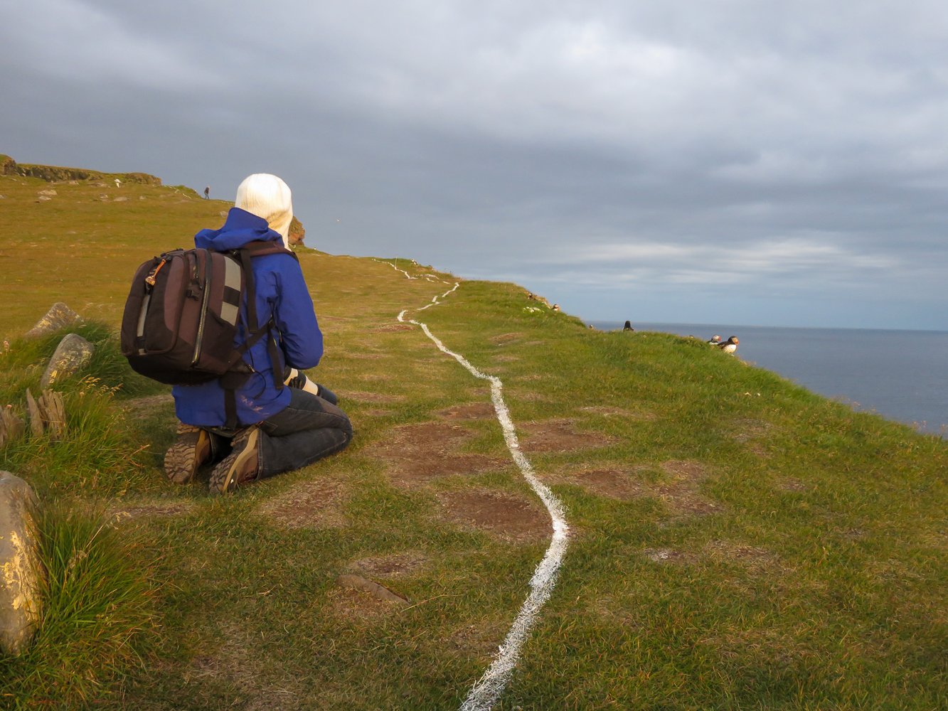 Observer les macareux en Islande
