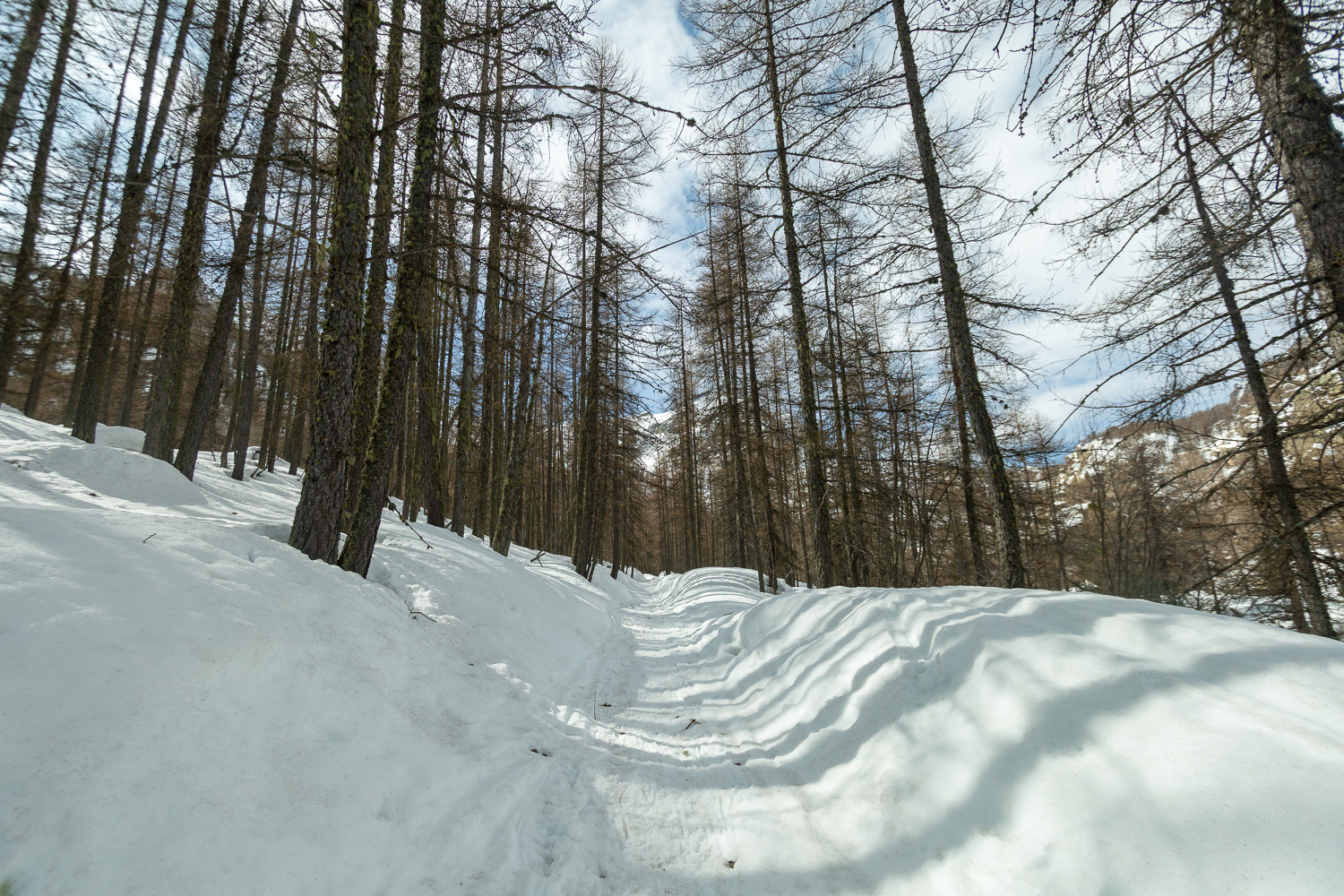 Vallon de la minière