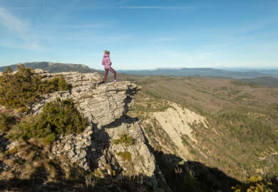 Mourré d'Agnis, Parc naturel régional de la Sainte-Baume