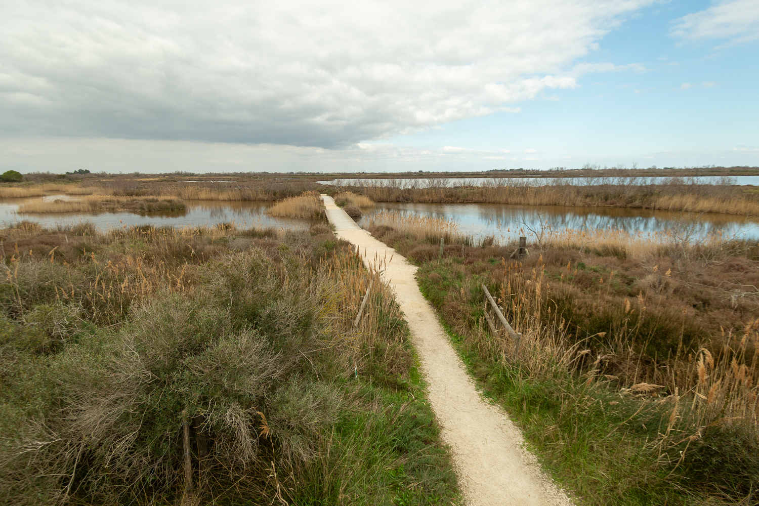 Réserve de Pont de Gau en Camargue