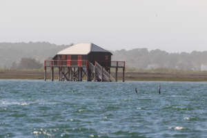 Une semaine autour du Bassin d&rsquo;Arcachon au printemps
