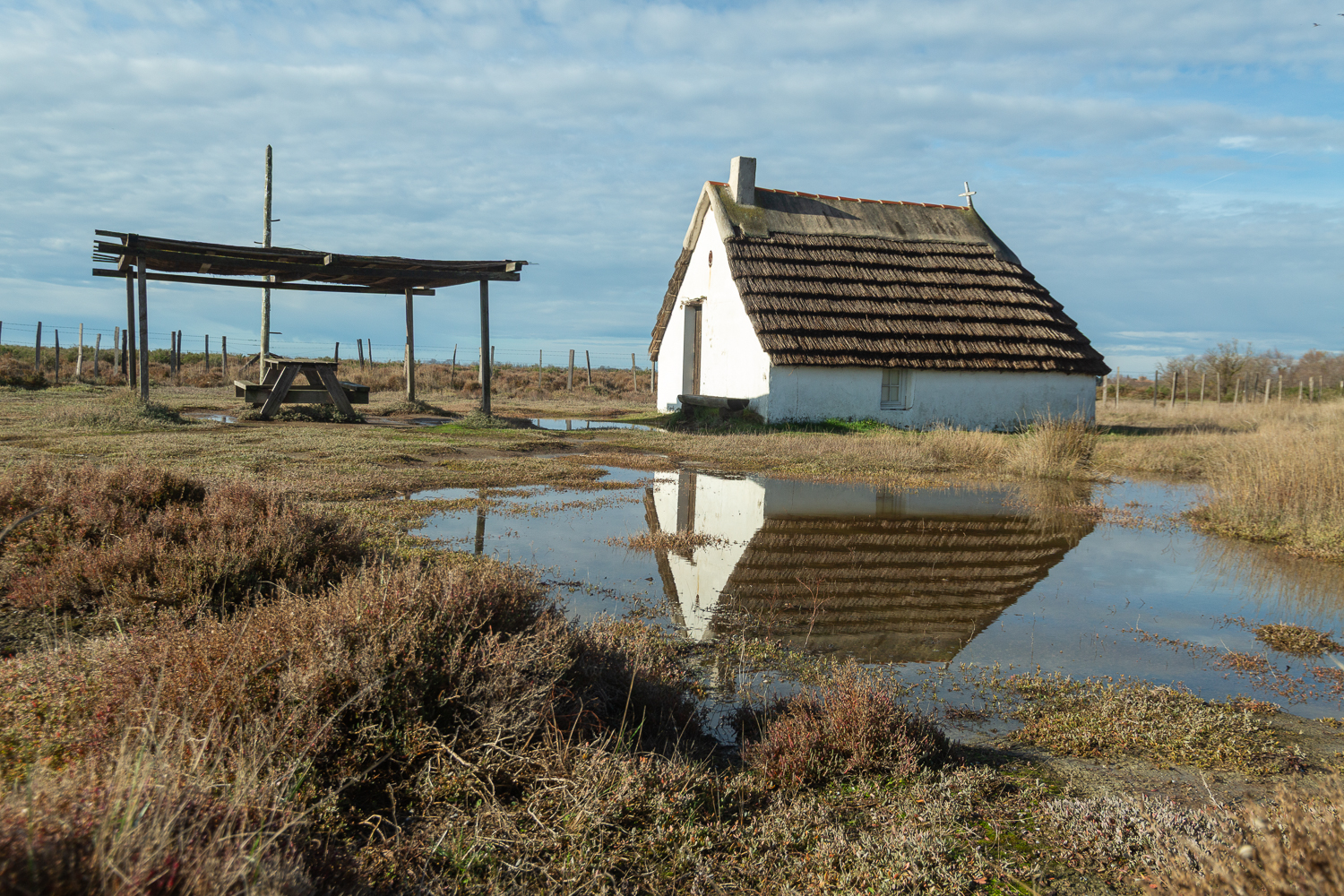 Musée de camargue