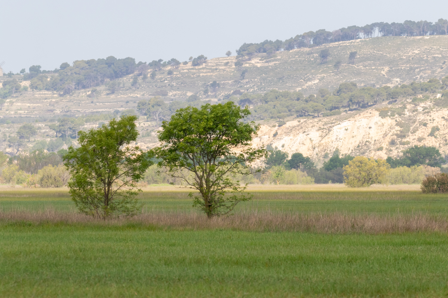 Basse vallée de l'Aude