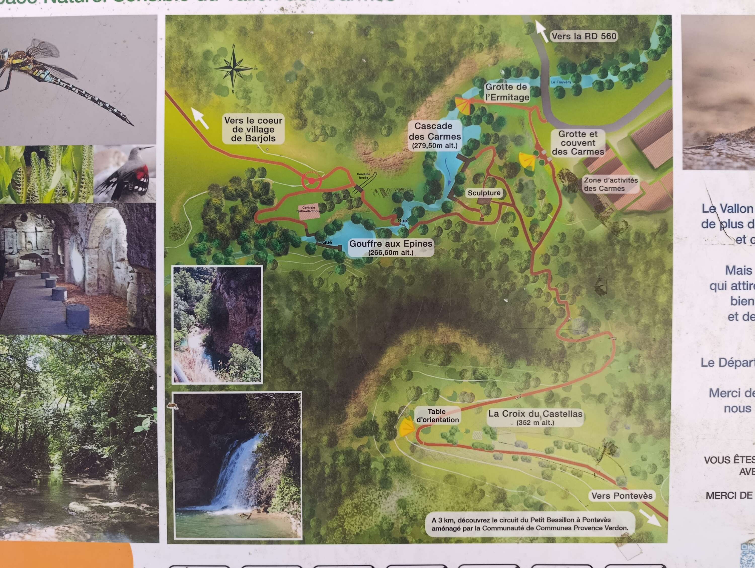 Carte vallon des carmes