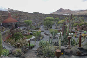 Jardin de cactus