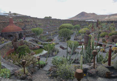 Jardin de cactus