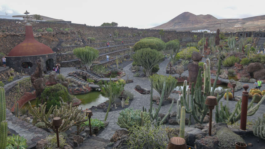 Jardin de cactus