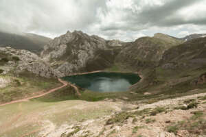 Observer les ours dans les Asturies