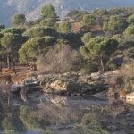 Rio Jandula