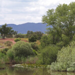 Retenue des Aurèdes