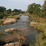 Sabie river