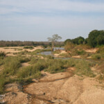 Sabie river