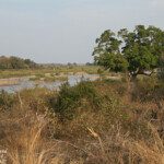 Sabie river