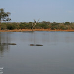 Sunset dam, Lower Sabie