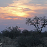 Photothèque Afrique du Sud Svg+xml,%3Csvg%20xmlns%3D%22http%3A%2F%2Fwww.w3