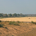 Lit de rivière aséché