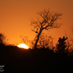 Berg-en-dal 18/08/2014