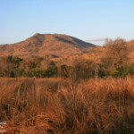 Collines de Berg-en-Dal