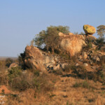 Photothèque Afrique du Sud Svg+xml,%3Csvg%20xmlns%3D%22http%3A%2F%2Fwww.w3