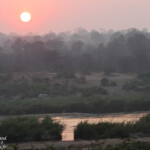 Lever du jour sur la rivière Sabie