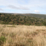 Addo Elephant National Park