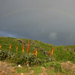 Cap Recife Nature Reserve