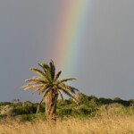 Cap Recife Nature Reserve