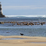Cap Recife Nature Reserve