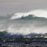 Cap Recife Nature Reserve