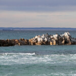 Port Elizabeth Svg+xml,%3Csvg%20xmlns%3D%22http%3A%2F%2Fwww.w3