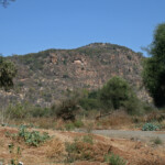 Punda Maria, Kruger