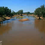 Afrique du Sud - Kruger, Rivière Luvhuvu Août 2014