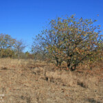 Photothèque Afrique du Sud Svg+xml,%3Csvg%20xmlns%3D%22http%3A%2F%2Fwww.w3